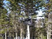 The descents through cleared forests (gladed runs) are very popular.