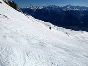 Mogul slope Les Bosses