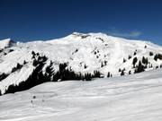 The Diedamskopf from the Breitenalpe