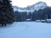 Cross-country trails at the Blaa-Alm