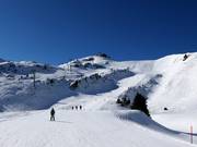 Intermediate slope below the Maschgenkamm