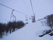 Forest trail descent at the Plaza Bahn