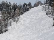 Mogul slope Sapinière at the Brichou chairlift