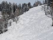 Sapinière mogul slopes at the Brichou chairlift