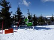 Snow cannon in the Spindlermühle ski resort