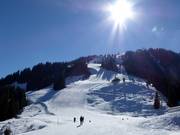 Slope at the Brandstadlbahn