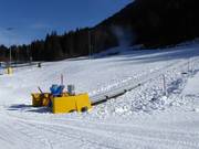 Conveyor belts Madessa in Ravascletto