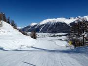 Easy Mountys Adventure Slope in Celerina