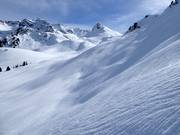 Freerider’s paradise