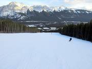 Descent Lower Homesteader