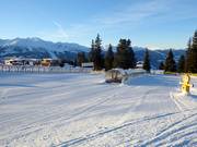 Tip for children  - Rosenalm children's area (Zell am Ziller)