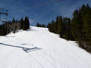 Kandahar downhill run