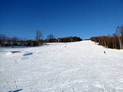 Ski slope Åslia Skisenter