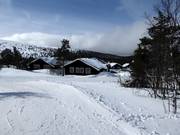 Holiday homes on the edge of the slopes in Högfjället