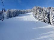 Stephan Eberharter Gold slope to the mid-station