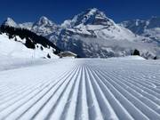 Perfect slopes with views of the Eiger, Mönch, and Jungfrau