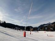 There are snowmaking lances on many slopes.