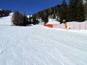 Practice slope Campo Scuola Gardoné above Predazzo