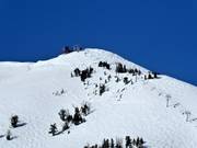 Mogul slopes at Challenger