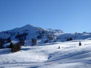 View over the ski resort of Steinplatte