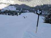 Difficult slope 8 Mohrenkopf