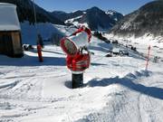 Snow cannon on the valley run to Alt St. Johann