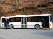 Regularly circulating buses help to improve the environment
