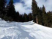 Black valley run to Disentis