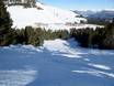 Ski resorts for advanced skiers and freeriding Bolzano and environs – Advanced skiers, freeriders Jochgrimm (Passo Oclini)