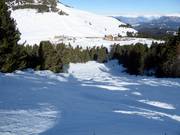 Mogul slope Jochgrimm