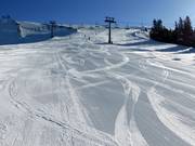 Very well-groomed slopes