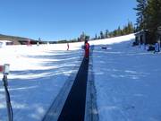 Big Sky Carpet Surface Lift 5 (Skiwee) - People mover/Moving Carpet