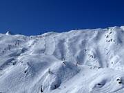 Black run Black Mamba