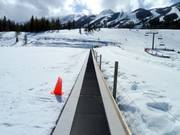 The conveyor belt Jelly Bean