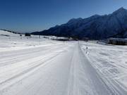 Perfect beginner slope Valbiolo at Passo del Tonale