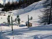 Bois des Coqs 1 - J-bar