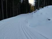 Nößlachhütte high-altitude cross-country trail