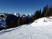 Tauernkar family run towards Sonnalm