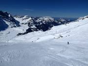 Slope Stand-Rindertitlis