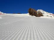 Excellent slope grooming in the Pejo ski area