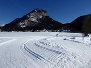 Beautiful cross-country ski trails in Bad Häring