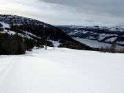 View from Hörvikshummeln to Lake Åresjön