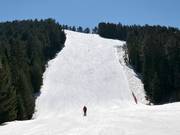 Black slope Chalin Valog