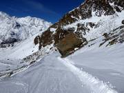 Ski trail past the Stein