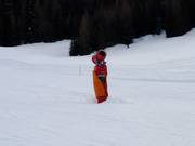 Snow cannon in Alta Badia