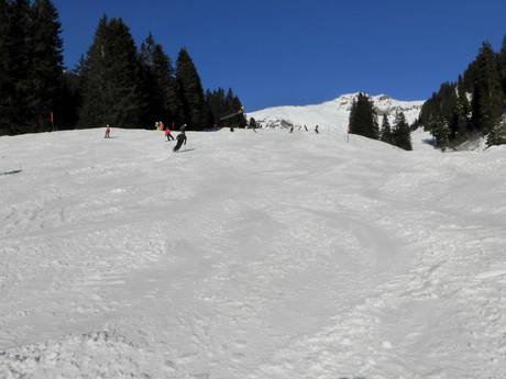 Ski resorts for beginners in the Uri Alps – Beginners Meiringen-Hasliberg