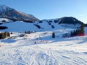 View as far as the Gschlössl