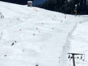 Race track at the Alblittlift