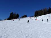 Practice slope at the Bidner platter lift