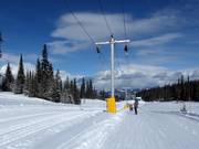 Home Run Tee - T-bar